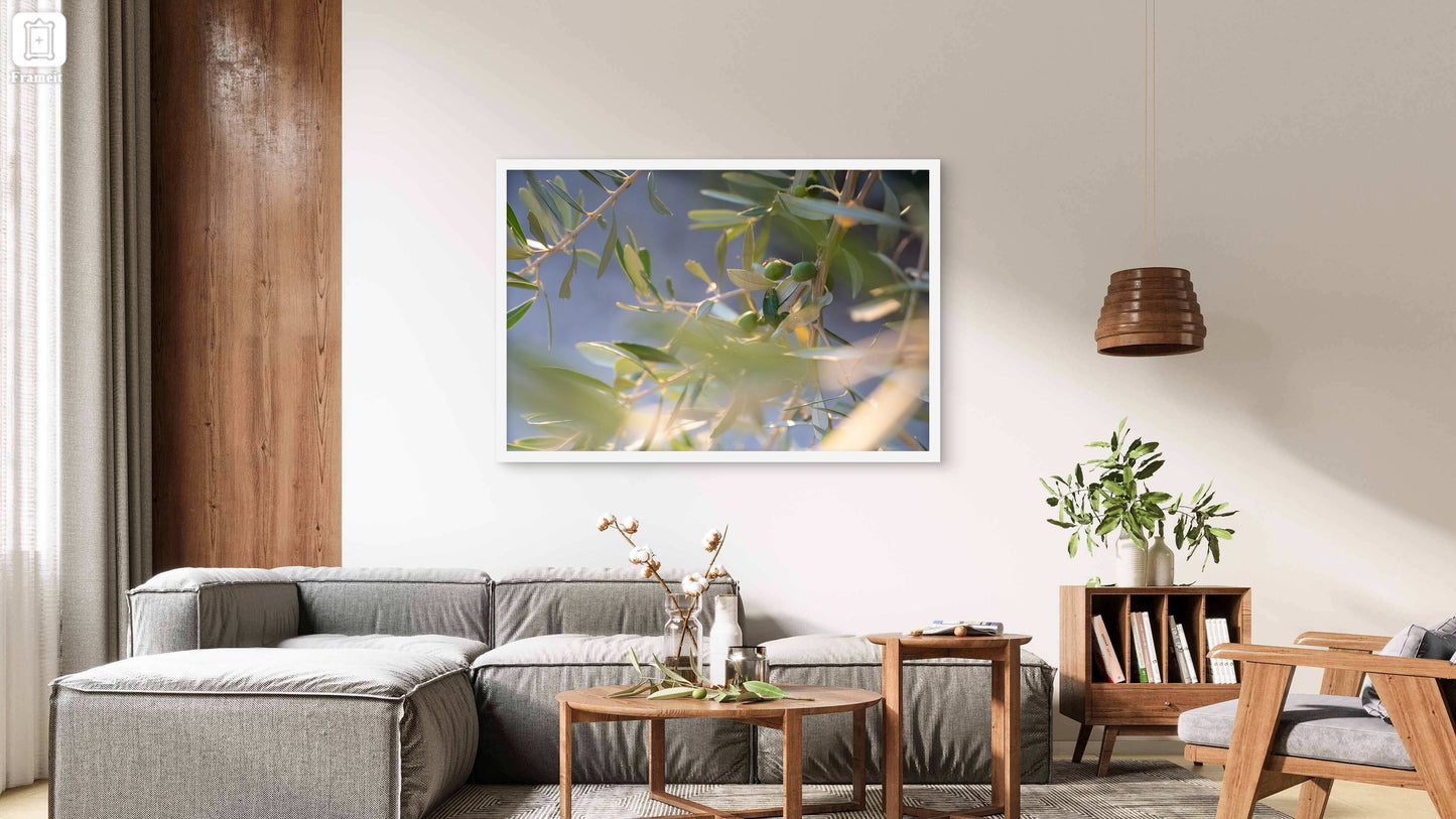 ART PRINT ŠEPET OLJČNIH LISTOV