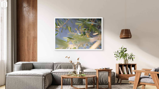 ART PRINT ŠEPET OLJČNIH LISTOV