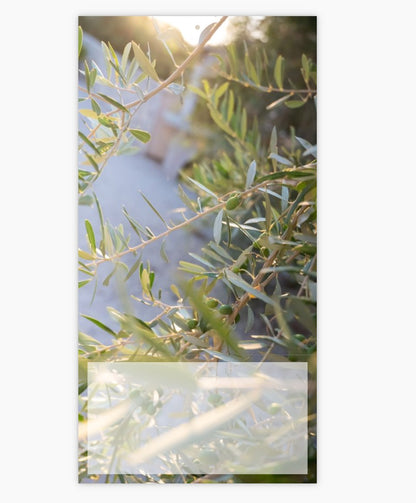 ENOLISTNI FOTO KOLEDAR PREMIUM 2026